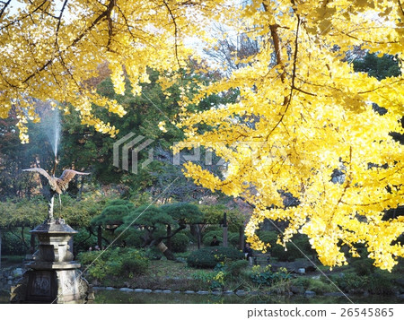 Hibiya Park Fall 26545865