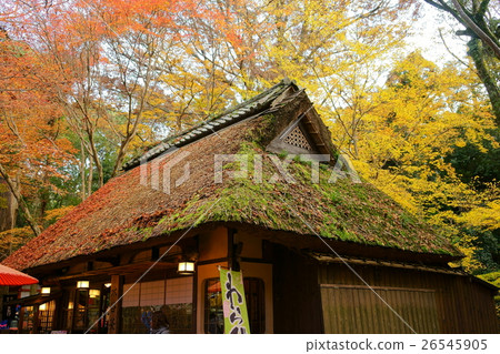 Tea house 2 with fallen leaves on the back of Nara park 2 Tea house 2 with fallen leaves on the back of Nara park 2 26545905