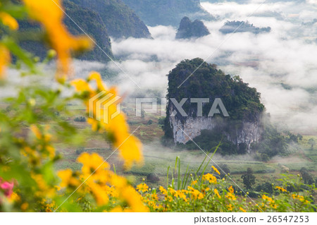 Morning fog on sunrise in the Phulanka, Phayao 26547253