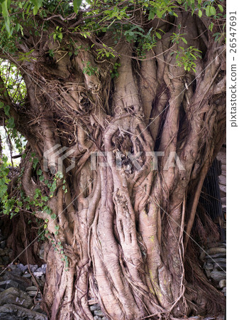 一大堆的ako 26547691