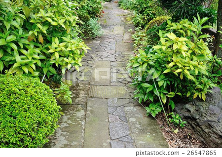 Front door approach 26547865