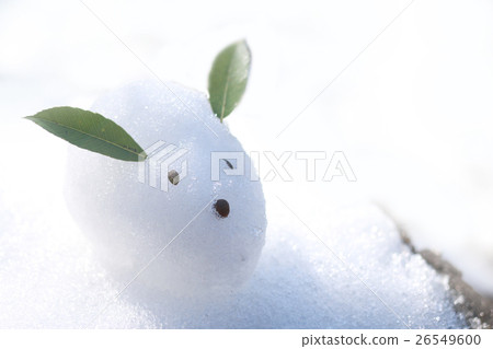 一隻雪兔 26549600