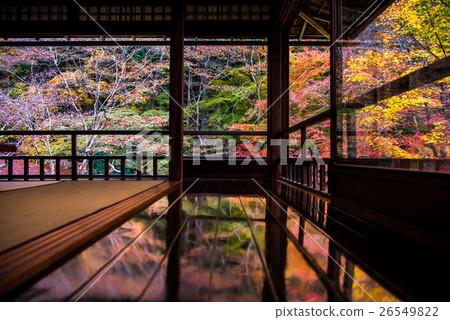 A lapis garden watching from the 2nd floor of Ruri Kokakuin in autumn 26549822