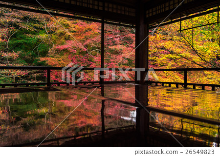 A lapis garden watching from the 2nd floor of Ruri Kokakuin in autumn 26549823