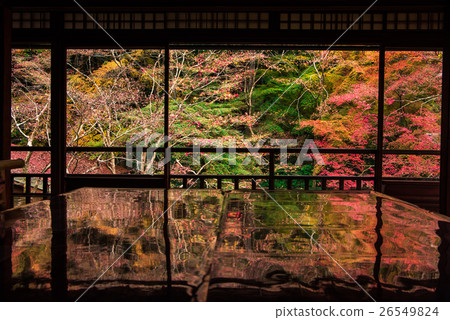 A lapis garden watching from the 2nd floor of Ruri Kokakuin in autumn 26549824