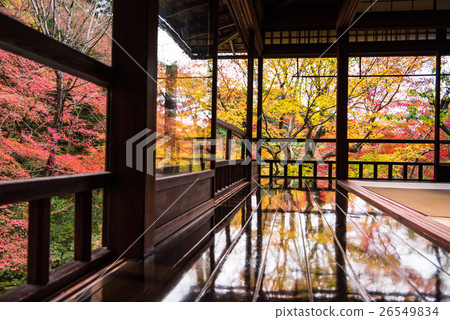 在秋天從Ruri Kokakuin二樓觀看的青金石花園 26549834