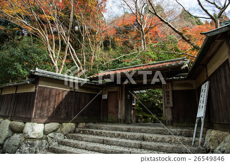 秋天的Rurikoin塔 26549846