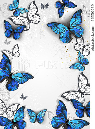 Frame with butterflies morpho 26550989