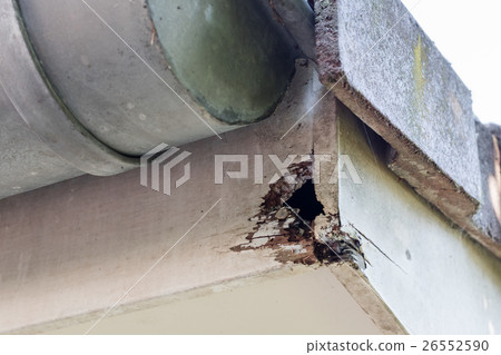 Rotten wood on top of house 26552590