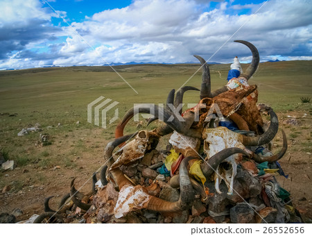 Pile of animal skulls Pile of animal skulls 26552656