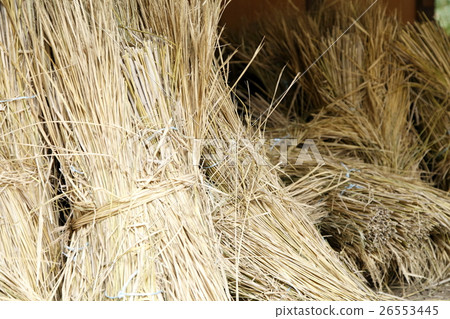 一根稻草 26553445