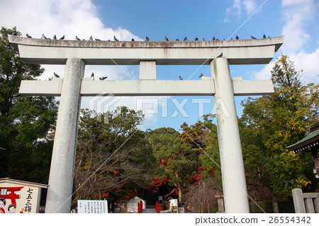 下關的住吉神社 下關的住吉神社 26554342