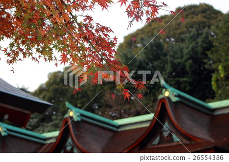 Sumiyoshi Shrine in Shimonoseki Sumiyoshi Shrine in Shimonoseki 26554386