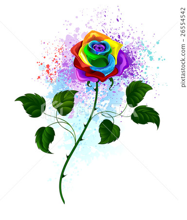 rainbow rose 26554542