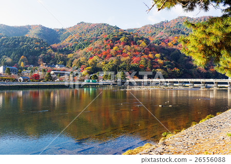 嵐山(秋葉11月) 嵐山(秋葉11月) 26556088