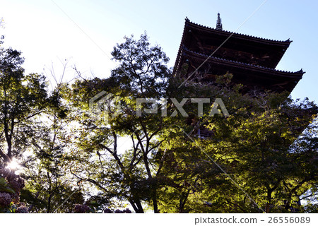 岡山縣Bikkan Kokubunji 岡山縣Bikkan Kokubunji 26556089