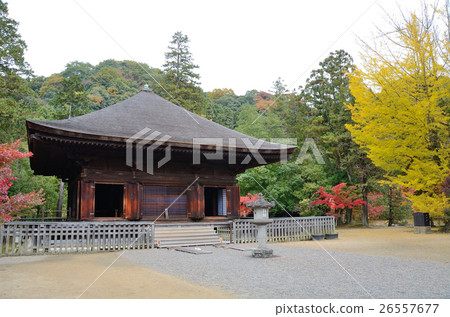 阿米達多的秋天〜2016年 26557677