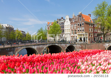 bridges of canal ring, Amsterdam 26558118