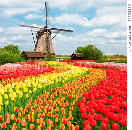 Dutch wind mills 26558480