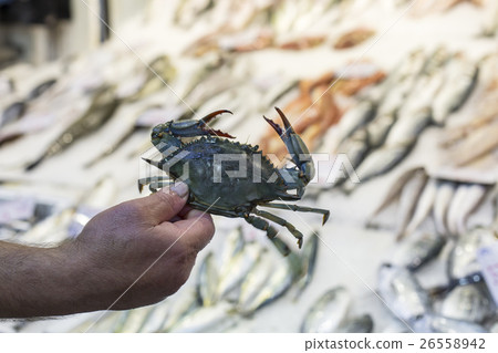 Variety of fish and seafood on local greece market Variety of fish and seafood on local greece market 26558942