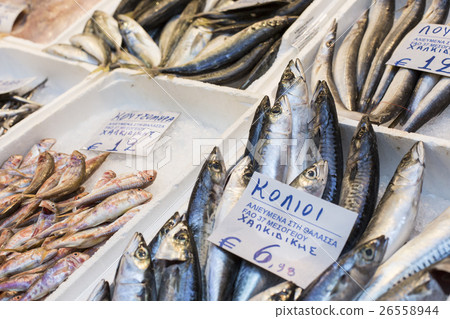 Variety of fish and seafood on local greece market Variety of fish and seafood on local greece market 26558944