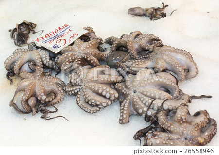 Variety of fish and seafood on local greece market 26558946