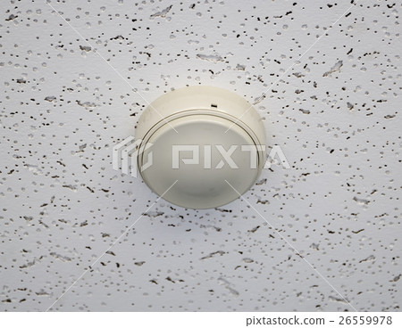 detector 26559978