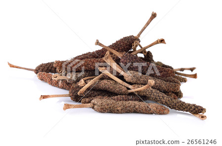 long pepper on white background 26561246
