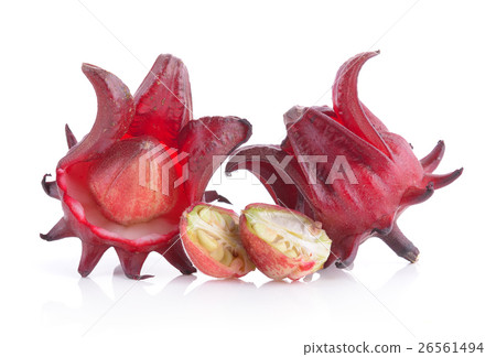 roselle on white background 26561494