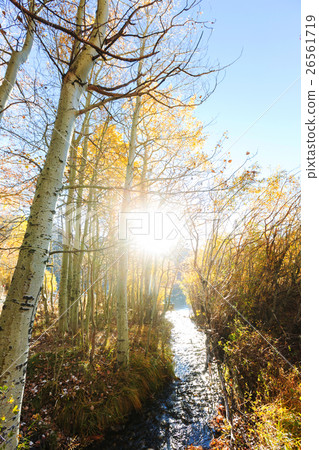Autumn scene 26561719