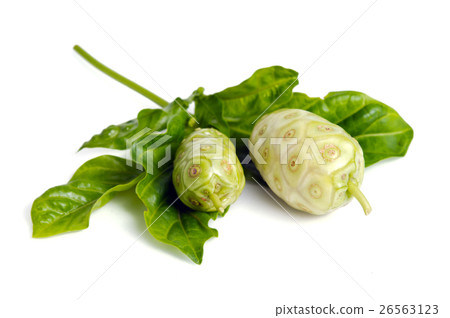 Noni exotic tropical fruit isolated on the white 26563123