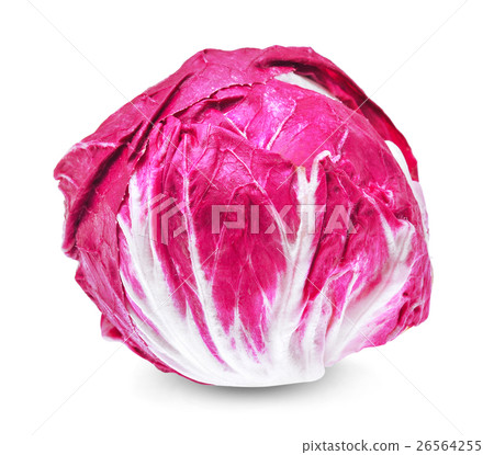 fresh radicchio (red salad) isolated on white  26564255