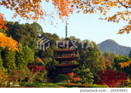 Autumn leaves and Rurikoji 5-storied pagoda 26564941