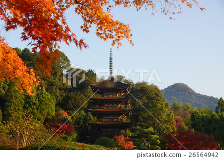 Autumn leaves and Rurikoji 5-storied pagoda Autumn leaves and Rurikoji 5-storied pagoda 26564942