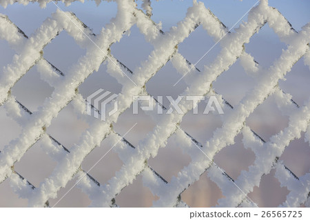 Inspiration Point, beautiful barbed wire snow scene 26565725