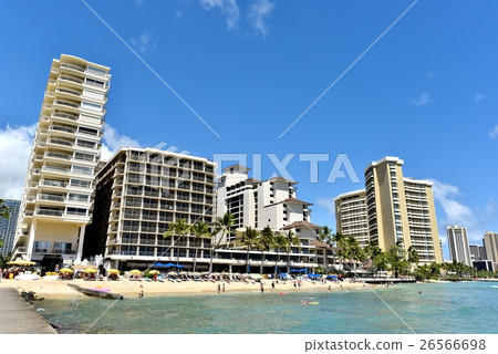 夏威夷的假期 夏威夷的假期 26566698