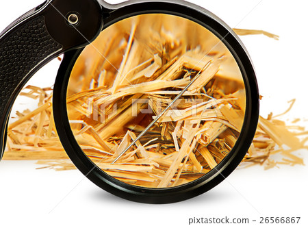 Magnifier enlarges a needle in haystack 26566867