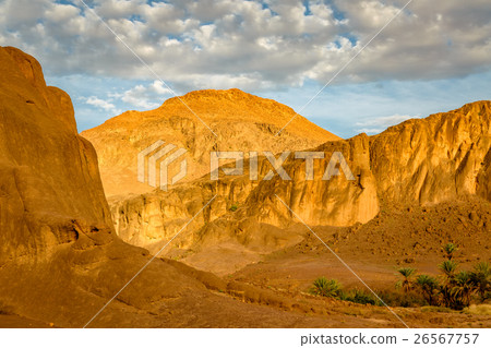 Landscape of Fint oasis near the city Ouarzazate 26567757