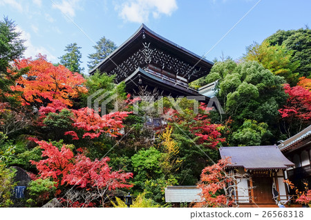 Magical door of autumn leaves 26568318