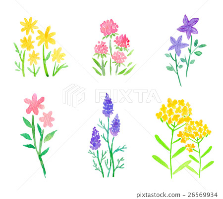 Watercolor Illustration Flower Set - Stock Illustration [26569934] - Pixta