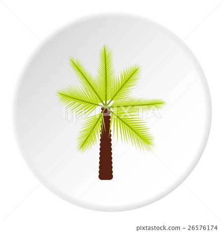 Big palm tree icon, flat style 26576174