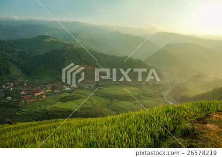 Rice Sunrise vietnam Rice Sunrise vietnam 26578219