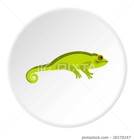 Green chameleon icon, flat style Green chameleon icon, flat style 26578247