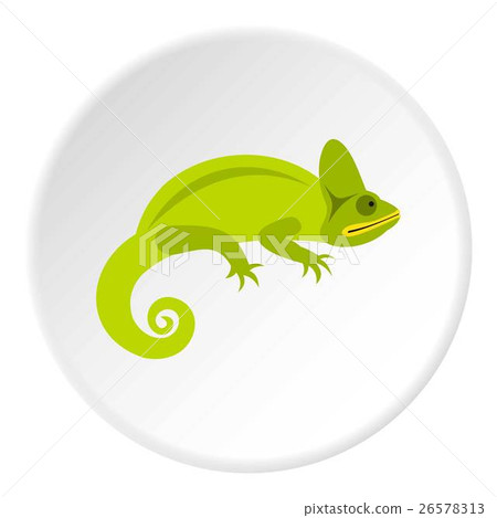 Chameleon icon, flat style Chameleon icon, flat style 26578313