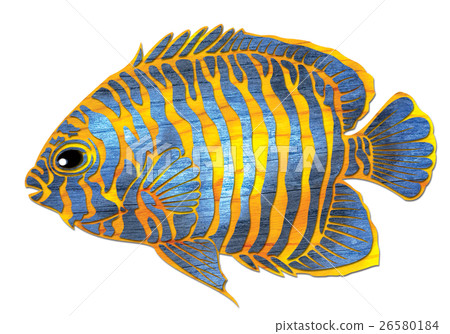 魚圖 魚圖 26580184