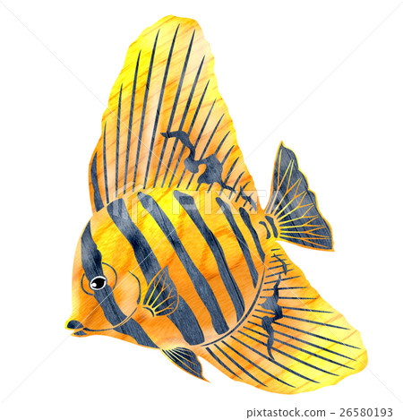 Fish illustration 26580193