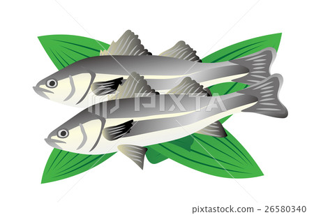 Suzuki Suzuki 26580340