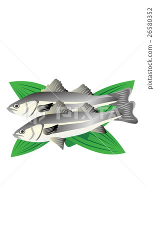 Suzuki Suzuki 26580352