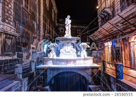 Night view of the Piazza del Duomo in Catania Night view of the Piazza del Duomo in Catania 26580555