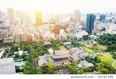 Panoramic city bird eye view in Tokyo, Japan Panoramic city bird eye view in Tokyo, Japan 26582166